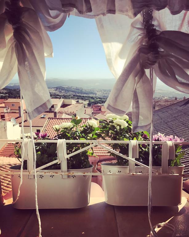 Apartmán H24 Vacanze Villanova Monteleone Exteriér fotografie